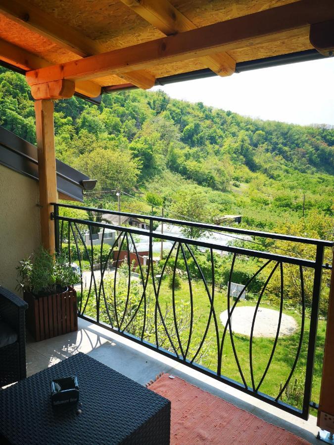 Apartman Snezana Jugovo Smederevo Luaran gambar