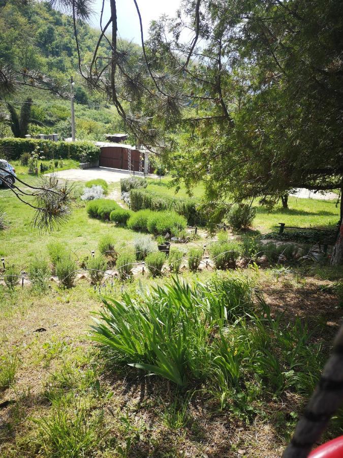 Apartman Snezana Jugovo Smederevo Luaran gambar